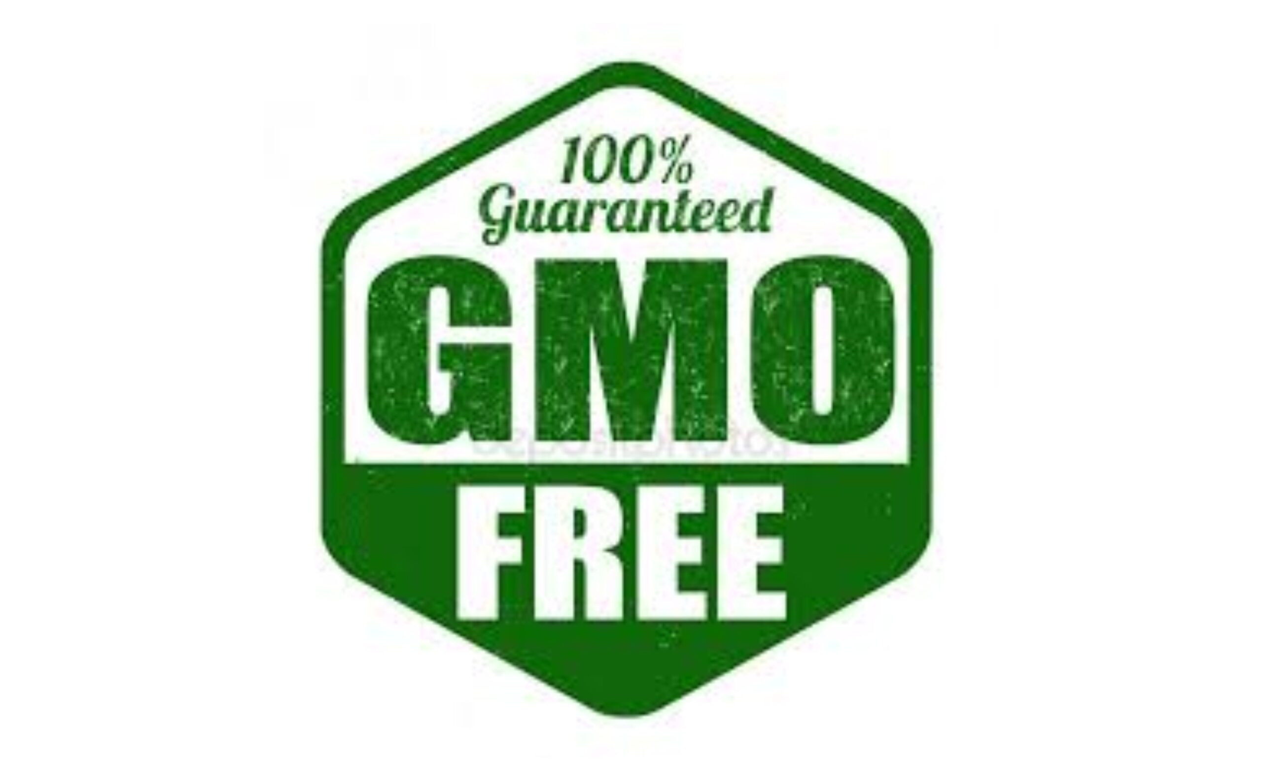 GMO